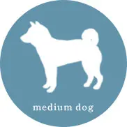 Icon：Medium dogs