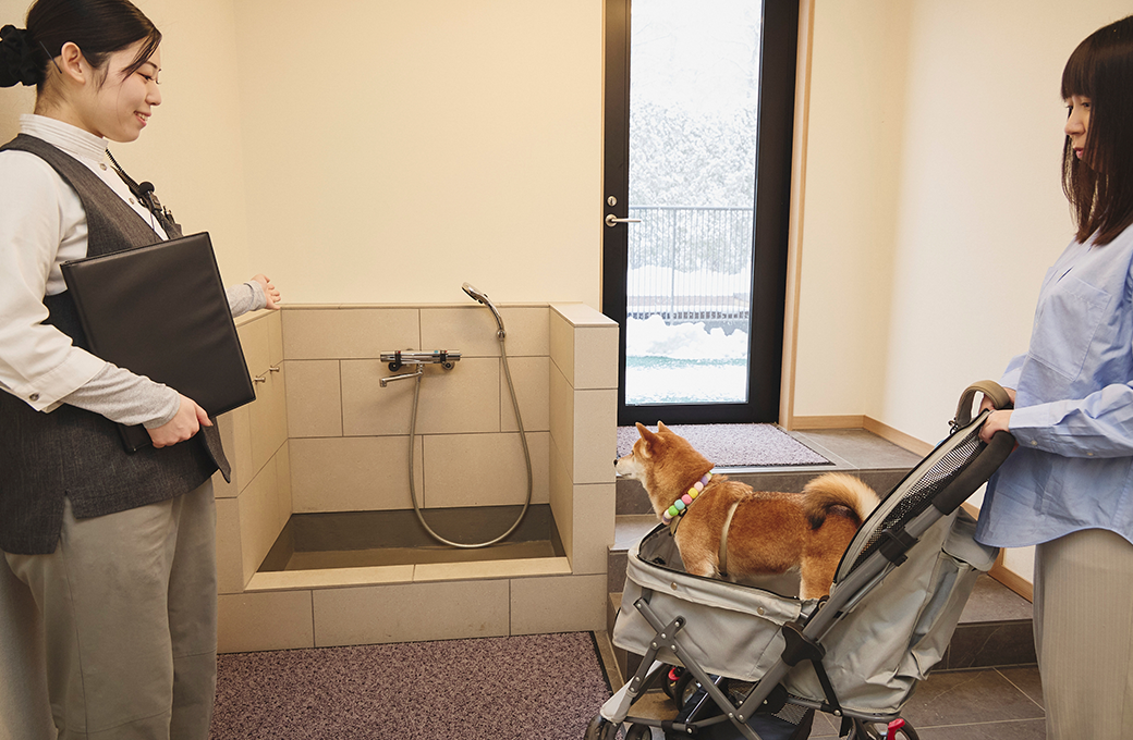 画像:ドッグラン