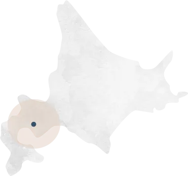 画像:外観