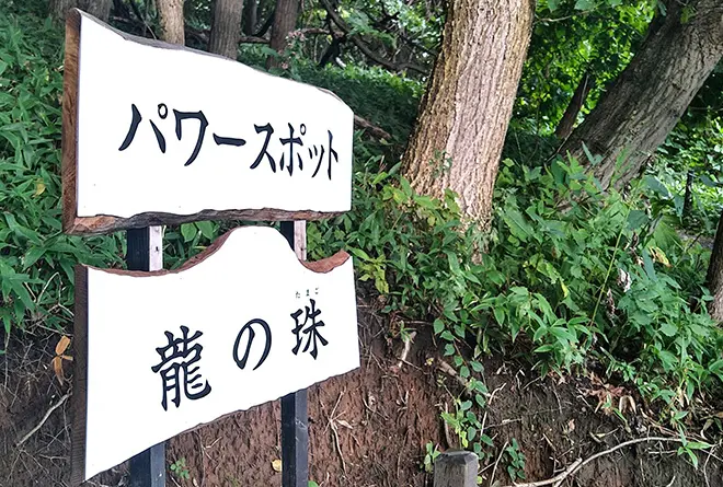 画像:ジオサイト「命を繋ぐ鮭の遡上と龍神参り」ツアー