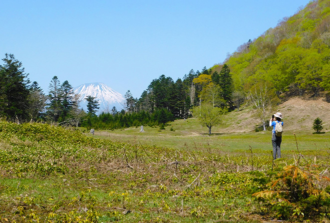 画像:湖の森 中島ウォーク