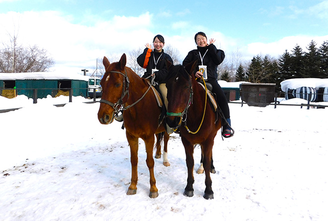 画像:ホーストレッキングツアー