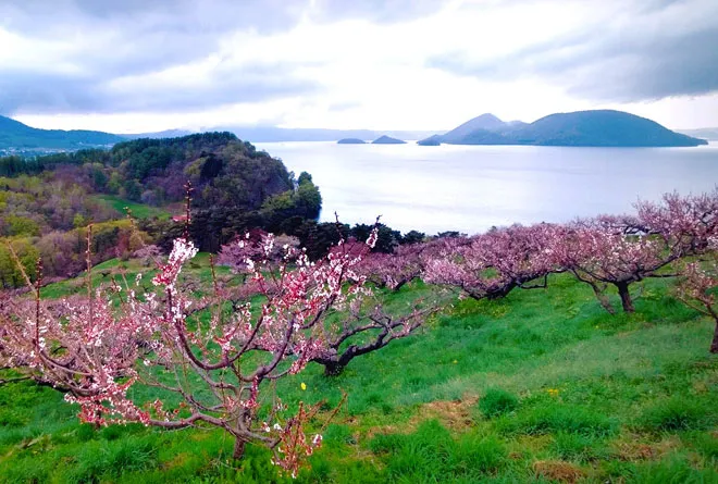 画像:レンタサイクル(電動アシスト付き)