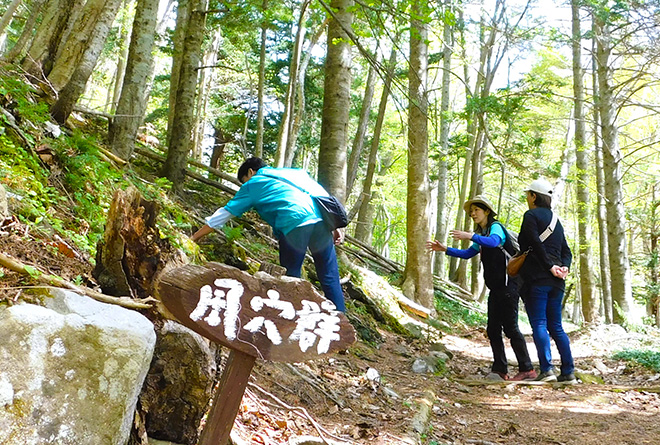 画像:湖の森 中島ウォーク